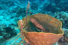 DCIM\100GOPRO\GOPR1956.JPG