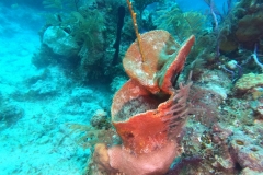 DCIM\100GOPRO\GOPR1968.JPG