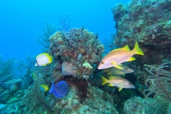 DCIM\100GOPRO\GOPR2010.JPG