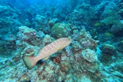 DCIM\100GOPRO\GOPR2020.JPG