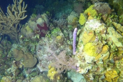 DCIM\100GOPRO\GOPR6110.JPG