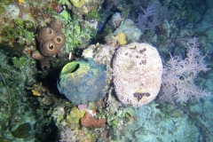 DCIM\100GOPRO\GOPR6113.JPG