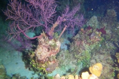 DCIM\100GOPRO\GOPR6117.JPG