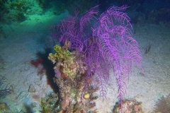 DCIM\100GOPRO\GOPR6120.JPG