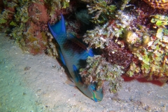 DCIM\100GOPRO\GOPR6122.JPG