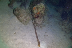 DCIM\100GOPRO\GOPR6123.JPG
