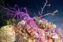 DCIM\100GOPRO\GOPR6124.JPG
