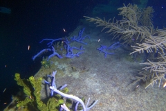 DCIM\100GOPRO\GOPR6014.JPG