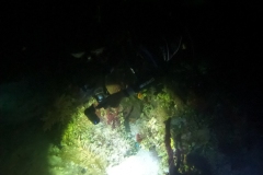 DCIM\100GOPRO\GOPR6024.JPG