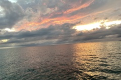 IMG_1612