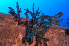 DCIM\100GOPRO\GOPR6140.JPG