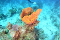 DCIM\100GOPRO\GOPR6135.JPG