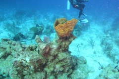 DCIM\100GOPRO\GOPR6134.JPG