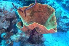 DCIM\100GOPRO\GOPR6133.JPG