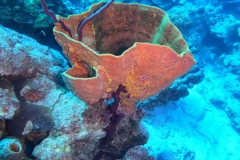 DCIM\100GOPRO\GOPR6132.JPG