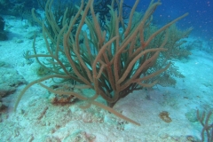 DCIM\100GOPRO\GOPR6129.JPG