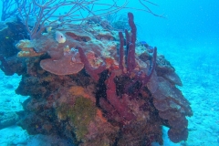 DCIM\100GOPRO\GOPR6128.JPG