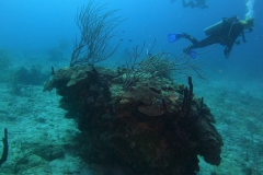 DCIM\100GOPRO\GOPR6127.JPG