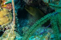 DCIM\100GOPRO\GOPR2491.JPG
