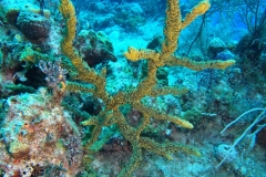 DCIM\100GOPRO\GOPR2485.JPG