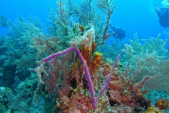 DCIM\100GOPRO\GOPR2477.JPG