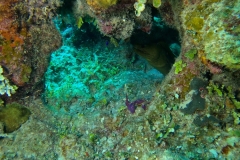 DCIM\100GOPRO\GOPR2468.JPG