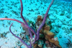 DCIM\100GOPRO\GOPR2463.JPG