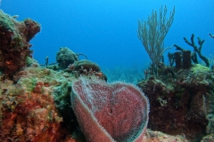 DCIM\100GOPRO\GOPR2460.JPG