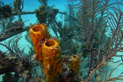 DCIM\100GOPRO\GOPR2521.JPG