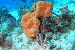 DCIM\100GOPRO\GOPR2454.JPG