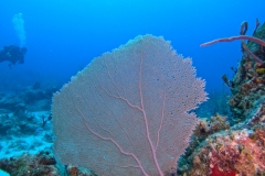 DCIM\100GOPRO\GOPR2453.JPG