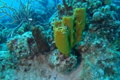 DCIM\100GOPRO\GOPR2448.JPG