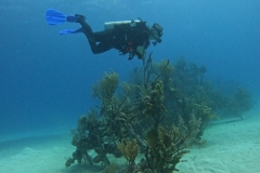 DCIM\100GOPRO\GOPR2440.JPG