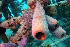 DCIM\100GOPRO\GOPR2519.JPG