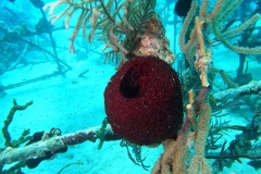 DCIM\100GOPRO\GOPR2517.JPG