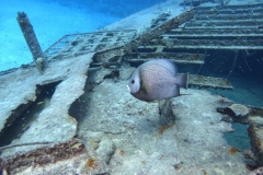 DCIM\100GOPRO\GOPR2510.JPG
