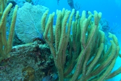 DCIM\100GOPRO\GOPR2507.JPG