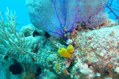 DCIM\100GOPRO\GOPR2506.JPG
