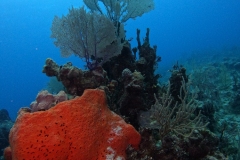 DCIM\100GOPRO\GOPR2499.JPG