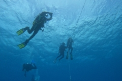 DCIM\100GOPRO\GOPR2522.JPG