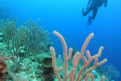 DCIM\101GOPRO\GOPR7477.JPG
