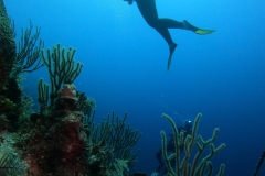 DCIM\101GOPRO\GOPR7476.JPG