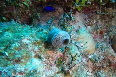 DCIM\101GOPRO\GOPR7474.JPG