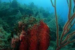 DCIM\101GOPRO\GOPR7473.JPG