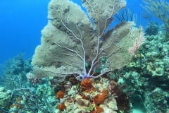 DCIM\101GOPRO\GOPR7500.JPG