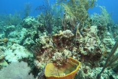 DCIM\101GOPRO\GOPR7497.JPG