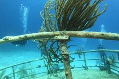 DCIM\101GOPRO\GOPR7493.JPG