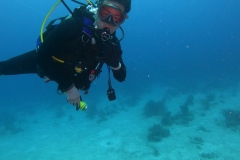 DCIM\101GOPRO\GOPR8664.JPG