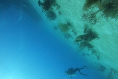 DCIM\101GOPRO\G0328542.JPG