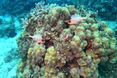 DCIM\101GOPRO\GOPR8427.JPG